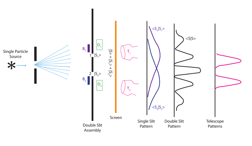Interference pattern builds up particle by particle